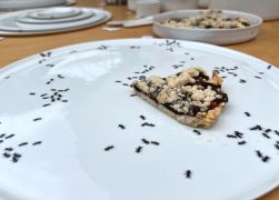 Toepfermarkt In Jena Wieder Ein Besuchermagnet 23